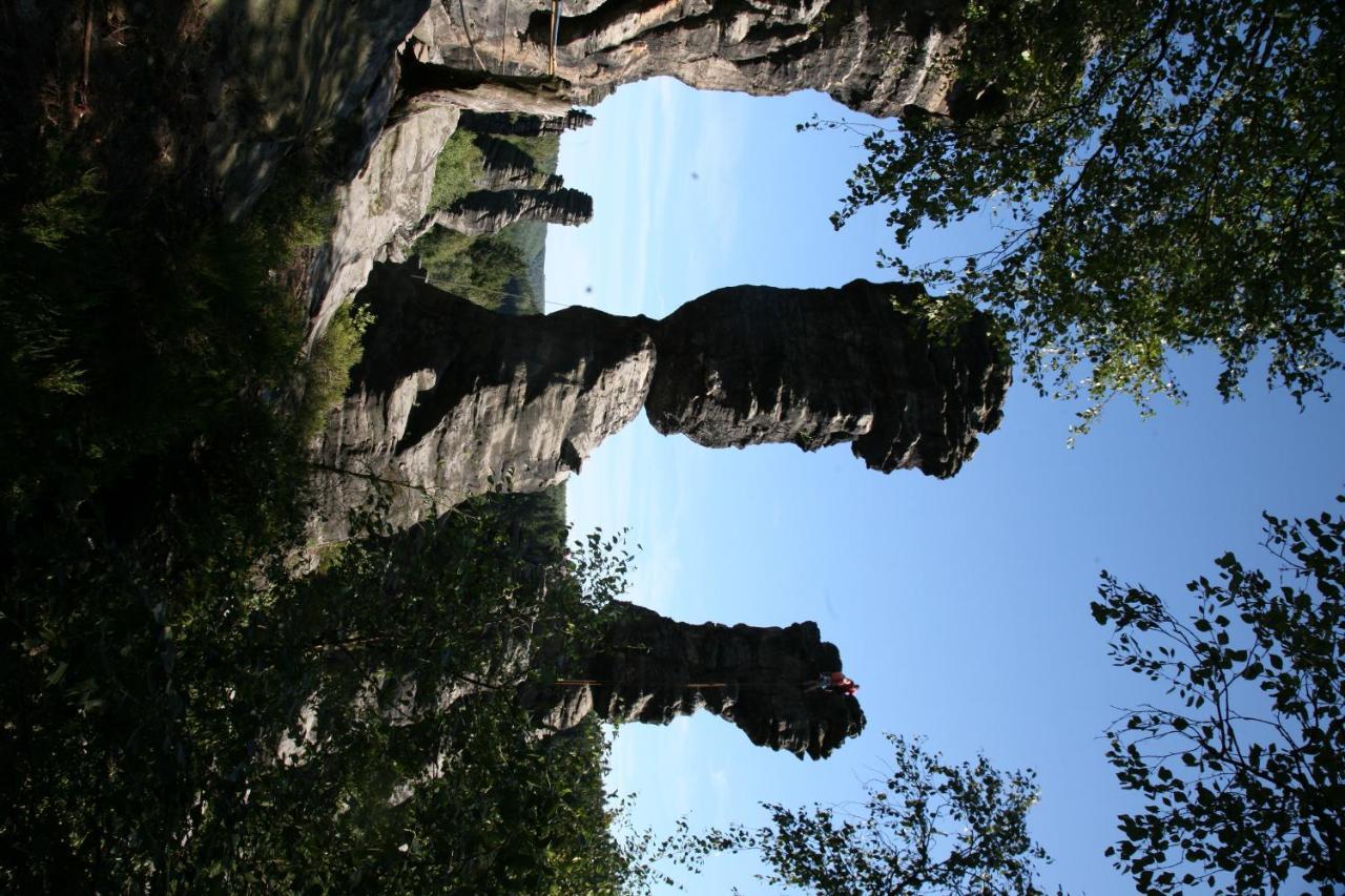 Landpension Bielatal - Raum Exteriör bild