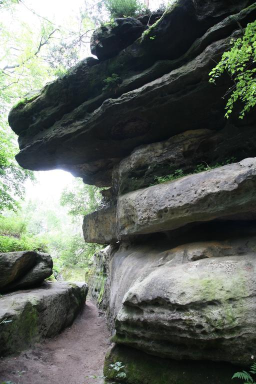 Landpension Bielatal - Raum Exteriör bild